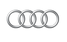 Raxles Audi OEM Quality CV Axles